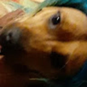 Meet your Posher, Tyrese